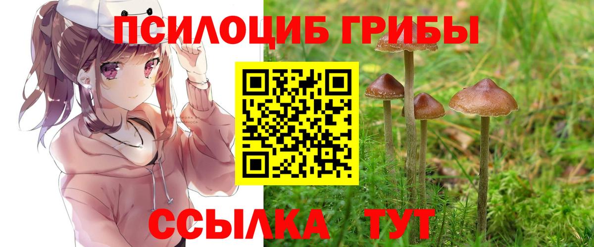 Верхний Уфалей  Псилоцибиновые грибы MAGIC MUSHROOMS  Вход с VPN 